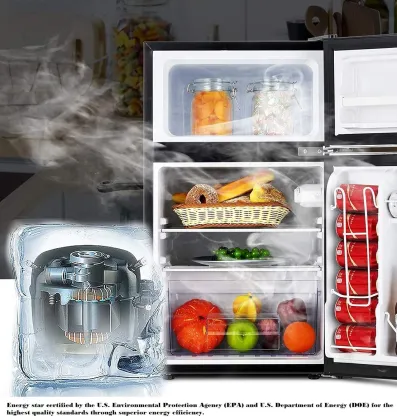 LEONARD LE-USA-DDREF 115 L Double Door Mini Refrigerator