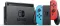 Nintendo Switch - Fortnite Double Helix Bundle