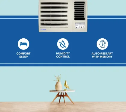 Blue Star WFE312L 1 Ton 3 Star 2025 Window AC