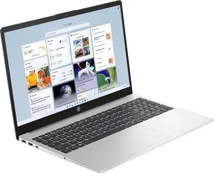 HP 250 G10 Laptop (13th Gen Core i7/ 24GB/ 2TB SSD/ Win 11)