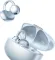 Oppo Enco Clip True Wireless Earbuds