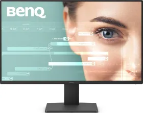 BenQ GW2491 23.8 inch Full HD Monitor