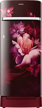 Samsung RR23D2H34RZ 215 L 4 Star Single Door Refrigerator