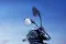 Ather 450 Apex