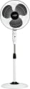 TVS Green Zesto 400 mm 3 Blade Pedestal Fan