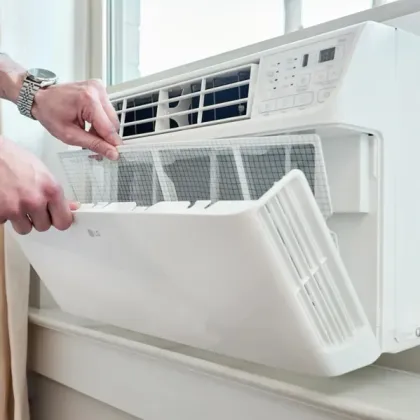 LG LW1022FVSM 10000 BTU 115V Inverter Window AC