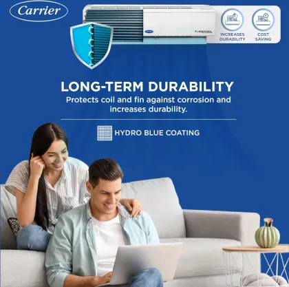 Carrier CAI24ES3R34F1 2 Ton 3 Star 2024 Inverter Split AC