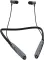 Aroma NB119 Zebra Neckband