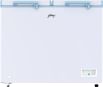 Godrej DH ESNCH 330C 2HCLP RW 288 L Double Door Deep Freezer