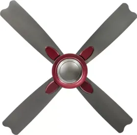 Usha Bloom Dahlia 1300mm 4 Blade Ceiling Fan