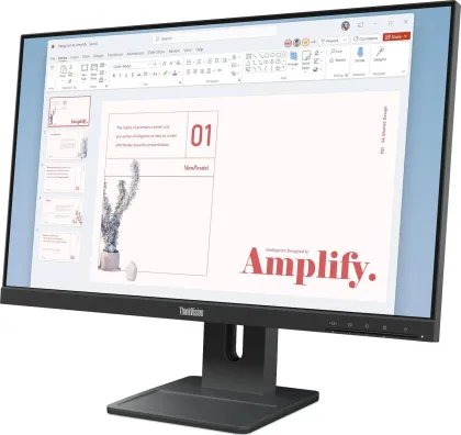 Lenovo ThinkVision E24-40 24 inch Full HD Monitor