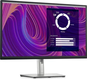 Dell P2423D 23.8 inch Quad HD Monitor