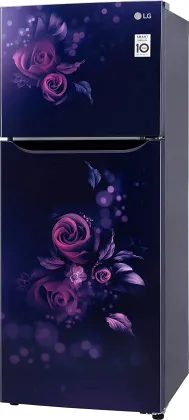 LG GL-N292BBEY 242 L 2 Star Double Door Refrigerator