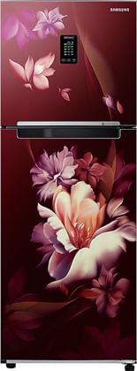 Samsung RT34C4622RZ 291 L 2 Star Double Door Refrigerator