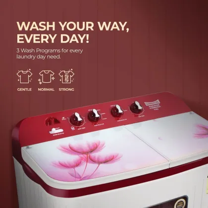 SummerCool Maharani 9 kg Semi Automatic Washing Machine