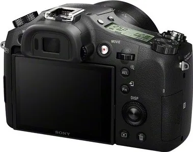 Sony DSC-RX10 Point & Shoot Camera
