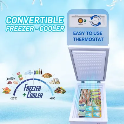 Rockwell SFR70 55 L Single Door Deep Freezer