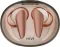 Mivi Duopods i7 True Wireless Earbuds