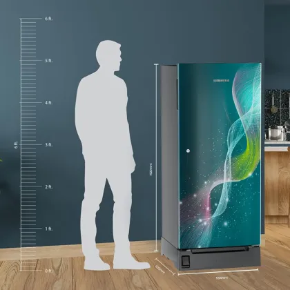 Liebherr ‎DFPtsE 2231 222 L 5 Star Single Door Refrigerator