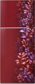 Godrej RT EONALPHA 250B RI AR WN 233 L 2 Star Double Door Refrigerator