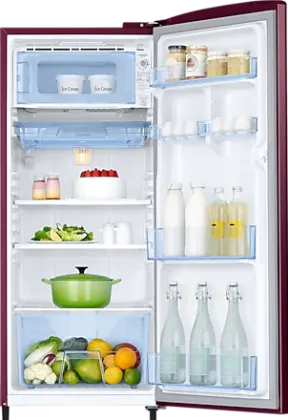 Samsung RR20C1724HN 183 L 4 Star Single Door Refrigerator