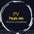 Parvez