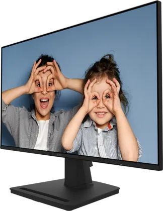 MSI PRO MP252 25 inch Full HD Monitor