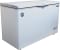 Blue Star CHFK350DGS 350 L Double Door Deep Freezer