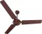 Crompton Surebreeze Starbriz 1200 mm 3 Blade Ceiling Fan