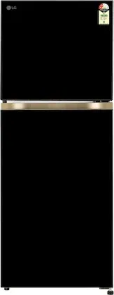 LG GL-S252ZOBY 225 L 2 Star Double Door Refrigerator
