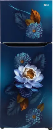 LG GL-S292SBWY 240 L 2 Star Double Door Refrigerator