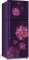 Whirlpool NEO 258LH CLS PLS 212 L 1 Star Double Door Refrigerator