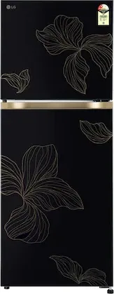 LG GL-S252ZROY 225 L 2 Star Double Door Refrigerator