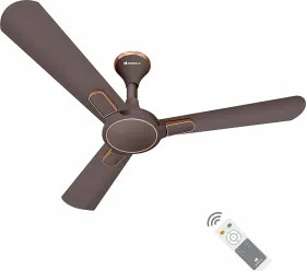 Havells Bianca BLDC 1200 mm 3 Blade Ceiling Fan