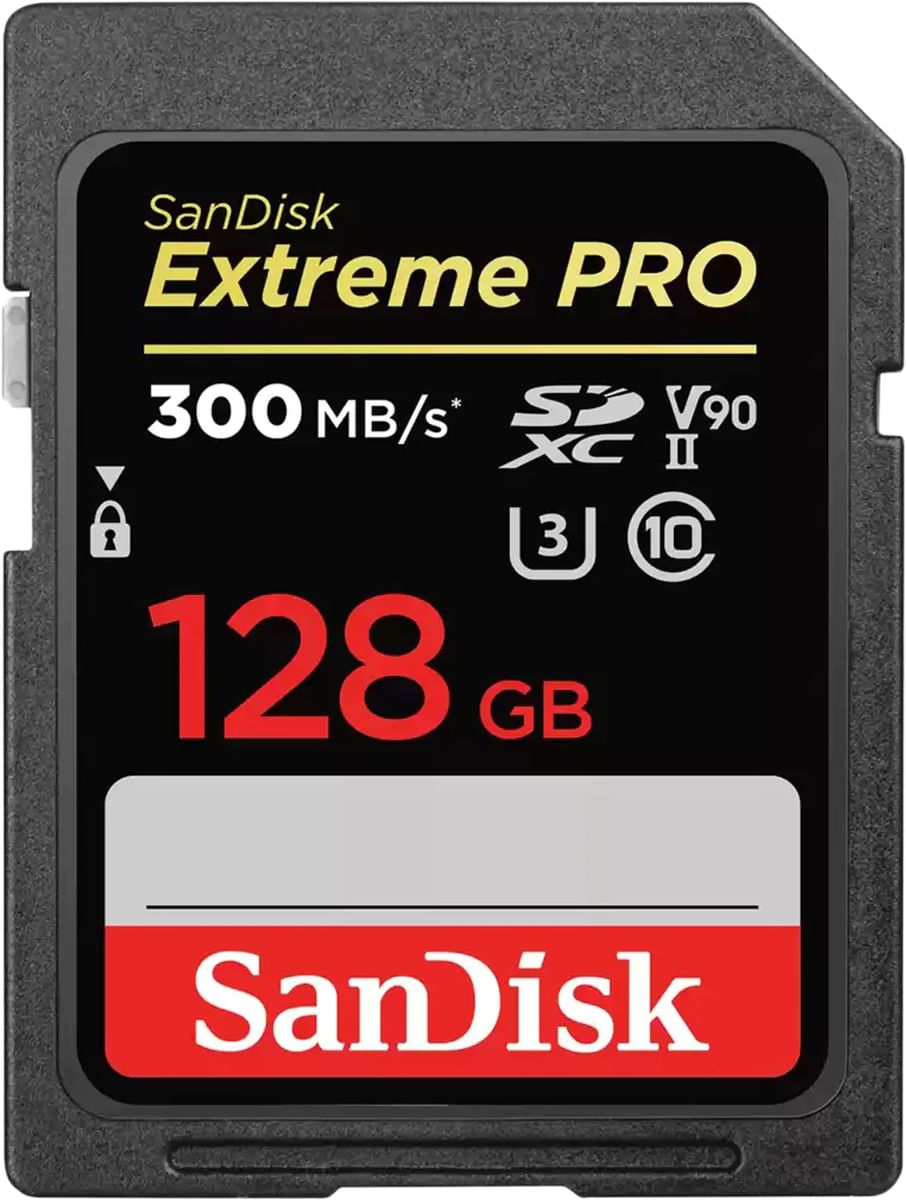 SDMS64800 Sandisk 64 MB Memory Stick 
