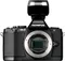 Olympus Camera OMD EM-5 (Body Only)