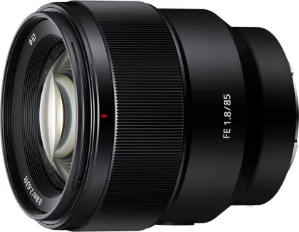 Sony Alpha ILCE-6400 24.2 MP Mirrorless Camera (E 18-135mm F/3.5-5.6 Lens & FE 85mm F/1.8 Lens)