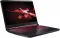 Acer Nitro 5 AN517-51 NH.Q5DSI.001 Gaming Laptop (9th Gen Core i7/ 8GB/ 2TB 256GB SSD/ Win10 Home/ 6GB Graph)