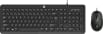 HP KM160 Wired Keyboard Mouse