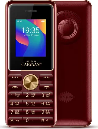 Saregama Carvaan M11 Punjabi