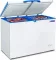 Blue Star CF5-330NEYW 310 L Double Door Deep Freezer