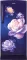 Haier HRD-2102PMN-P 190 L 2 Star Single Door Refrigerator