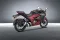 Suzuki Gixxer SF 250 Flex Fuel