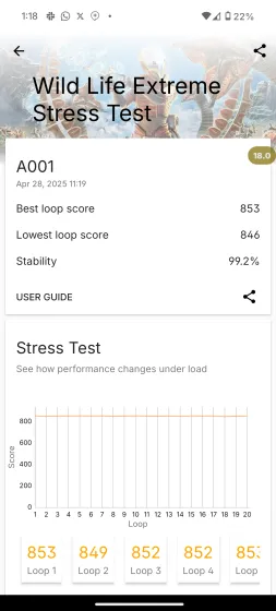 Wild Life Extreme Stress Test