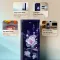 Haier HED-171MEA-P 165 L 1 Star Single Door Refrigerator