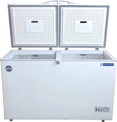 Blue Star CHFK350DGS 350 L Double Door Deep Freezer