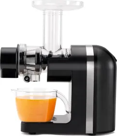 Borosil NutriRich 200W Cold Press Juicer