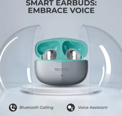 TecSox Pro 4 True Wireless Earbuds
