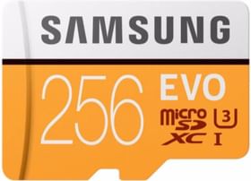 Samsung Evo 256GB SDXC Class 10 100MB/s Memory Card