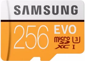 Samsung Evo 256GB SDXC Class 10 100MB/s Memory Card